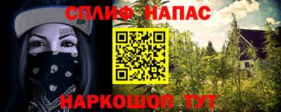 spice Можга