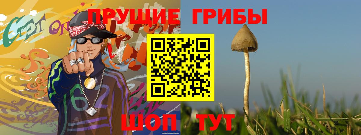 Галлюциногенные грибы мухоморы  купить закладку  Вход с VPN  Бугуруслан  Галлюциногенные грибы MAGIC MUSHROOMS 
